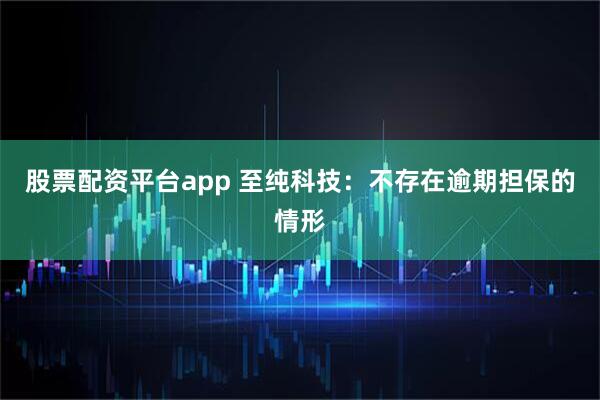 股票配资平台app 至纯科技：不存在逾期担保的情形